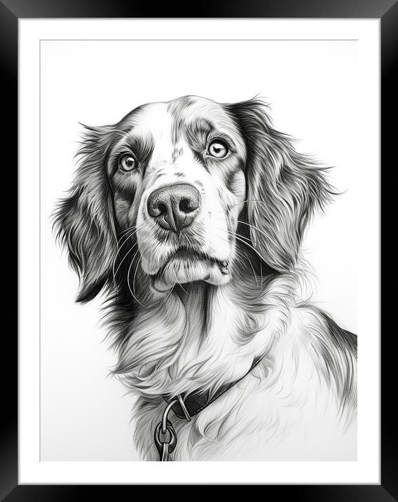 Drever Pencil Drawing Framed Mounted Print by K9 Art