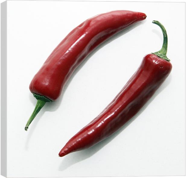 chilli peppers Canvas Print by david harding
