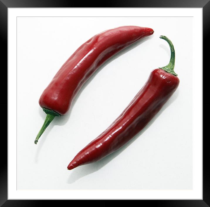chilli peppers Framed Mounted Print by david harding