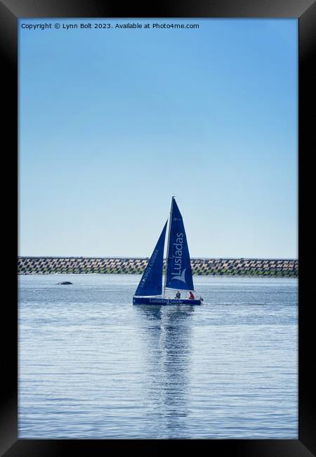 Blue Sails in the Sunshine Framed Print by Lynn Bolt