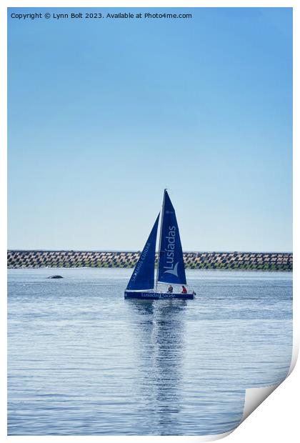 Blue Sails in the Sunshine Print by Lynn Bolt
