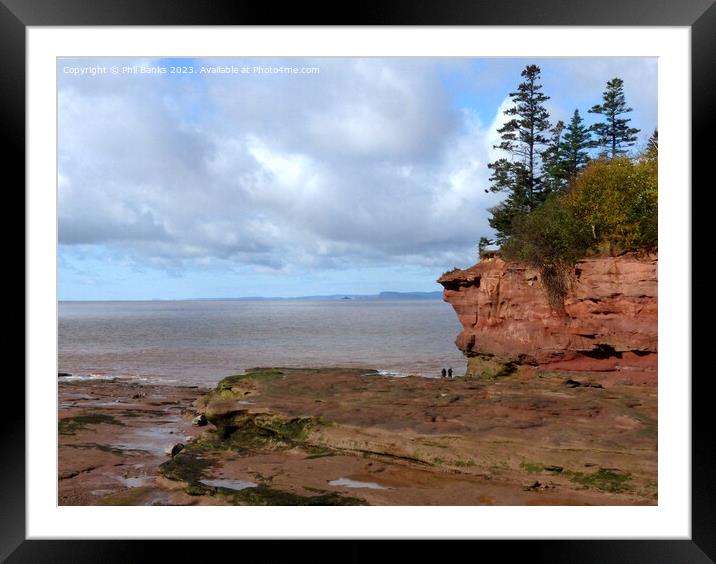 Burntcoat Head and Minas Basin, Nova Scotia Framed Mounted Print by Phil Banks