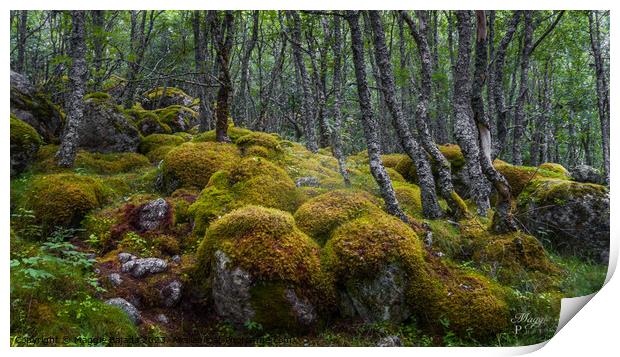 Green Forest with Moss and Trees. Print by Maggie Bajada