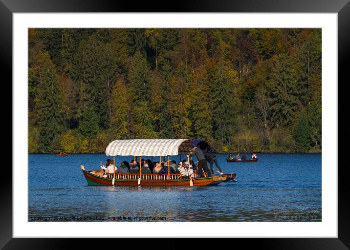 Pletna Boat with Autumn Trees background in Lake Bled.  Framed Mounted Print by Maggie Bajada