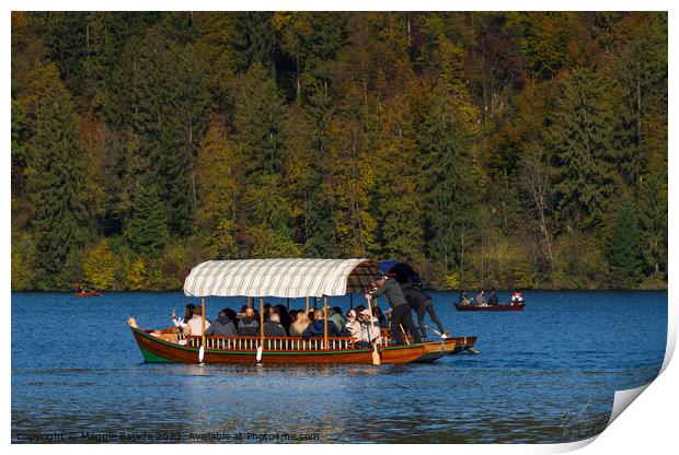 Pletna Boat with Autumn Trees background in Lake Bled.  Print by Maggie Bajada