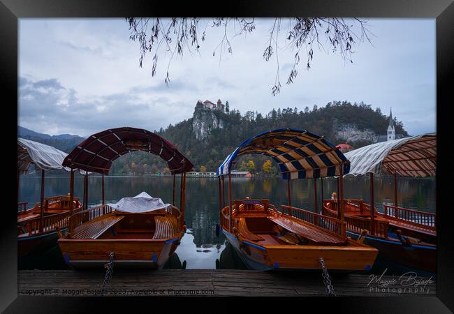 Colored Pletna Boats on Lake Bled, Slovenia. Framed Print by Maggie Bajada
