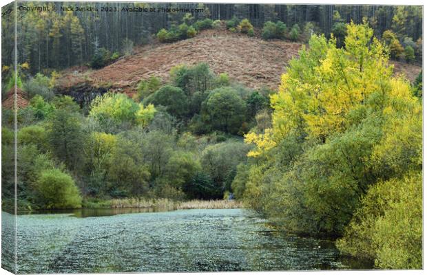 The Nature Reserve and Pond at Clydach Vale off the Rhondda Valley  Canvas Print by Nick Jenkins