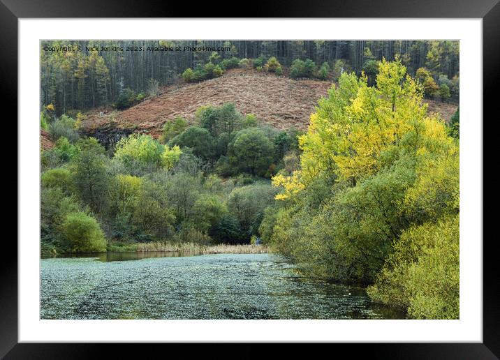 The Nature Reserve and Pond at Clydach Vale off the Rhondda Valley  Framed Mounted Print by Nick Jenkins