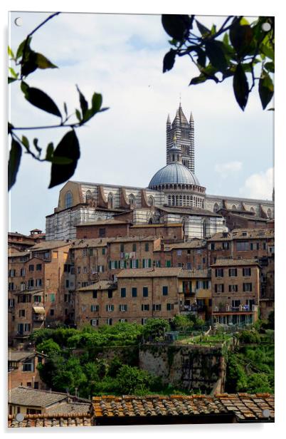 Siena Skyline Cityscape Tuscany Italy Acrylic by Andy Evans Photos