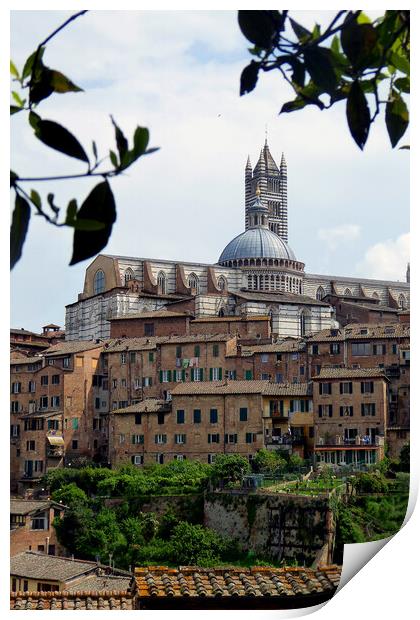 Siena Skyline Cityscape Tuscany Italy Print by Andy Evans Photos