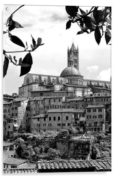 Siena Skyline Cityscape Tuscany Italy Acrylic by Andy Evans Photos