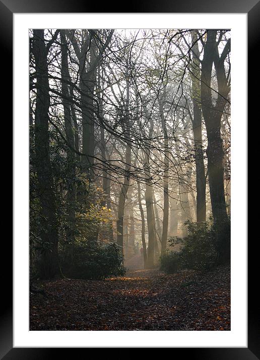 Early Autum Morning Framed Mounted Print by malcolm fish
