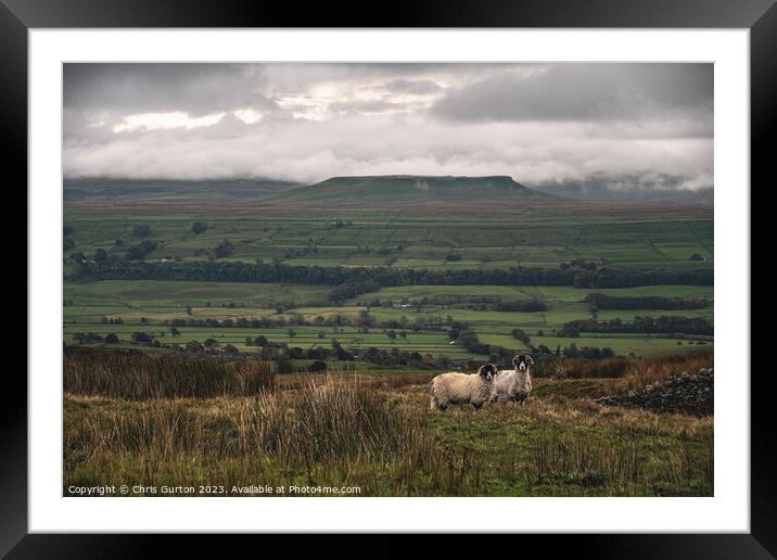 View over Wensleydale to Addlebrough Framed Mounted Print by Chris Gurton