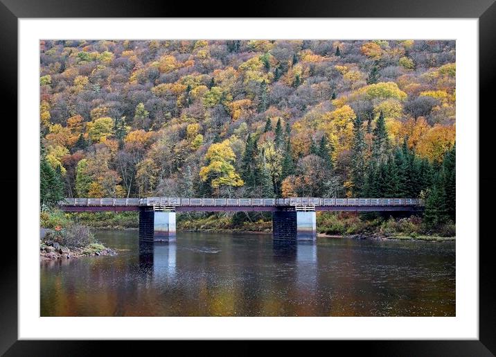 Fall Colours in Quebec Canada Framed Mounted Print by Martyn Arnold