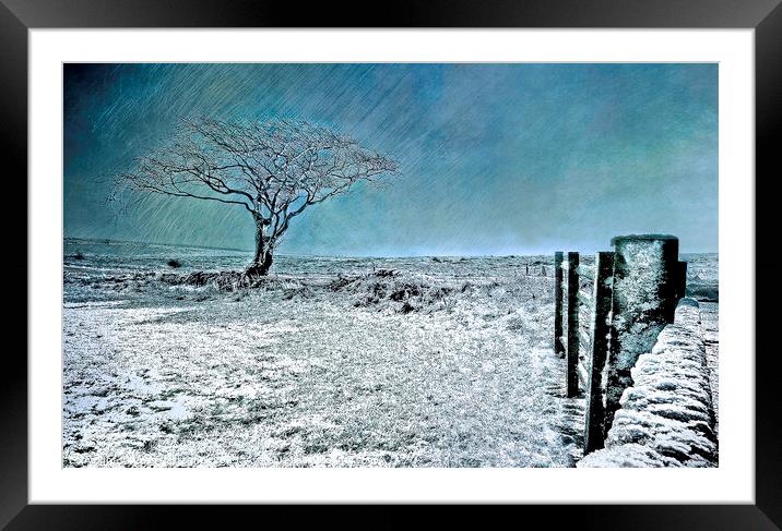 Ice Blue Christmas - North York Moors Framed Mounted Print by Cass Castagnoli