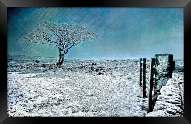Ice Blue Christmas - North York Moors Framed Print by Cass Castagnoli