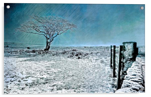 Ice Blue Christmas - North York Moors Acrylic by Cass Castagnoli