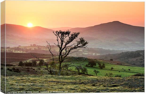 Sugar Loaf Winter Sunrise. Canvas Print by Philip Veale