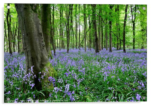 Bluebell Wood in Springtime. Acrylic by Philip Veale