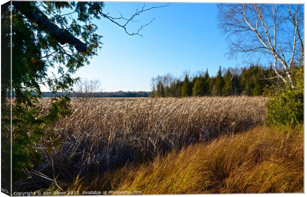 Autumn Tranquillity: Miller Creek Marsh Canvas Print by Ken Oliver