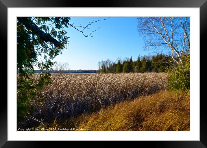 Autumn Tranquillity: Miller Creek Marsh Framed Mounted Print by Ken Oliver