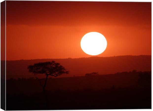 Masai Mara Sunset kenya Canvas Print by grant norton