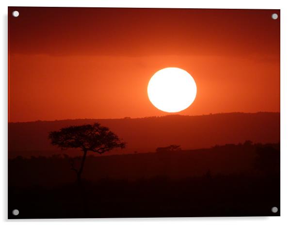 Masai Mara Sunset kenya Acrylic by grant norton