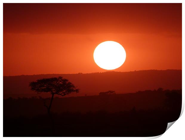 Masai Mara Sunset kenya Print by grant norton