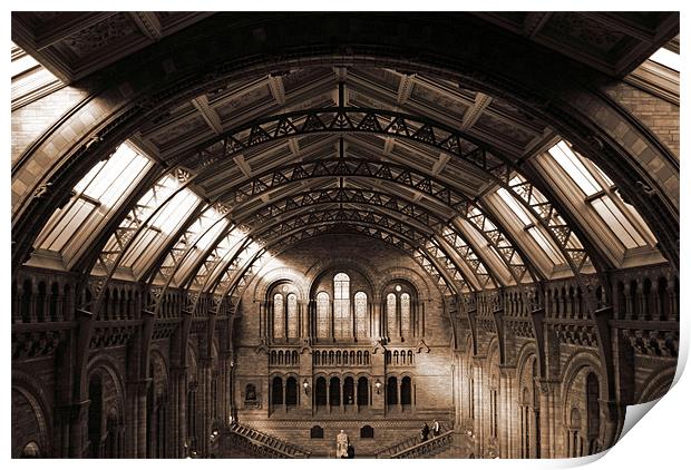 natural history museum main hall Print by paul forgette