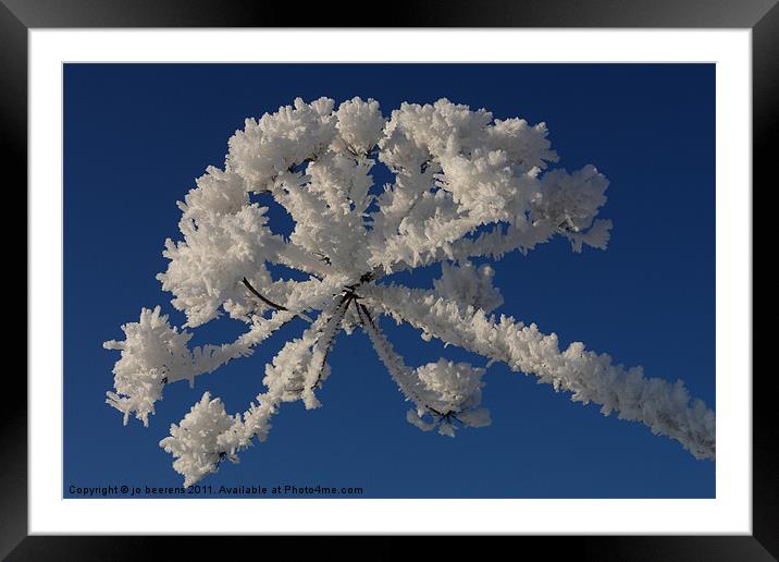 a touch of frost Framed Mounted Print by Jo Beerens