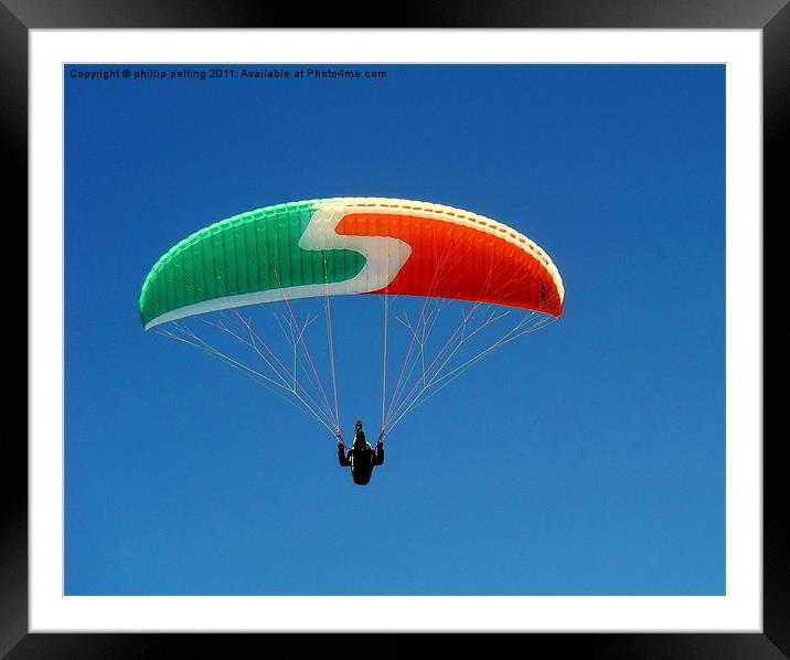 Free as a bird. Framed Mounted Print by camera man