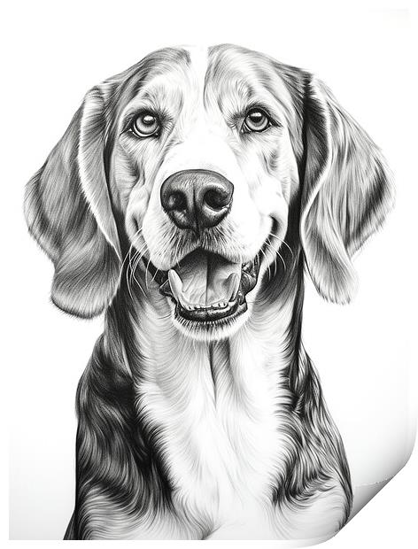 English Foxhound Pencil Drawing Print by K9 Art