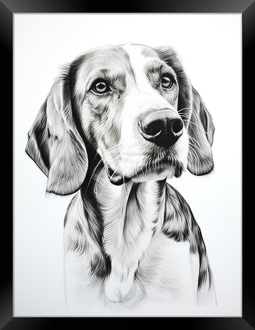 English Foxhound Pencil Drawing Framed Print by K9 Art