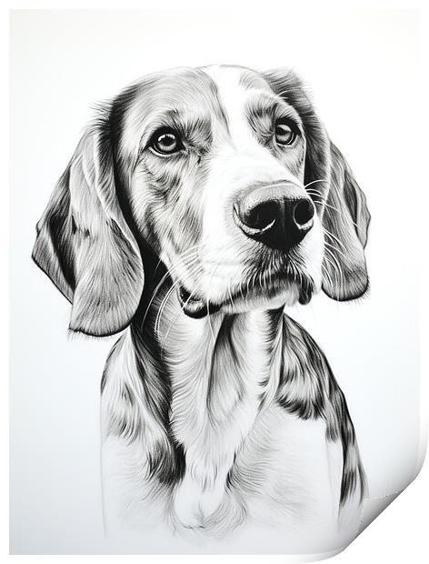 English Foxhound Pencil Drawing Print by K9 Art