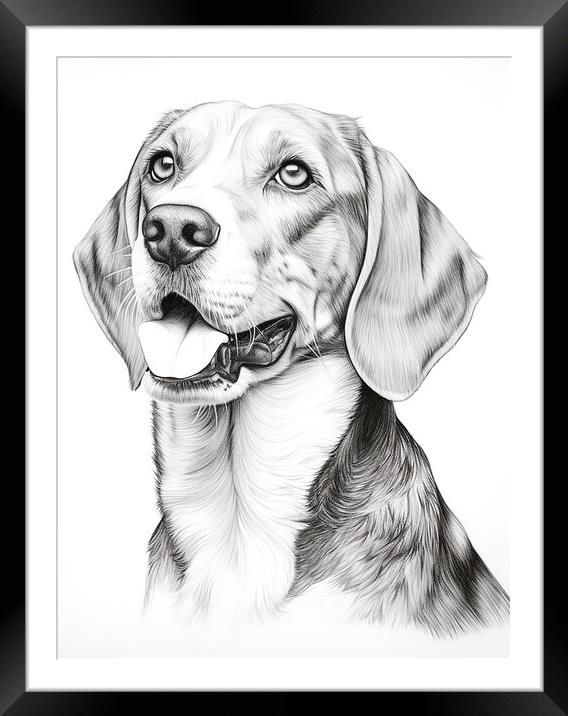 English Foxhound Pencil Drawing Framed Mounted Print by K9 Art