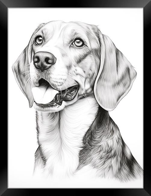 English Foxhound Pencil Drawing Framed Print by K9 Art
