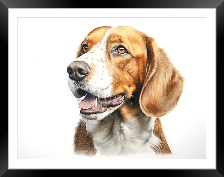 English Foxhound Pencil Drawing Framed Mounted Print by K9 Art