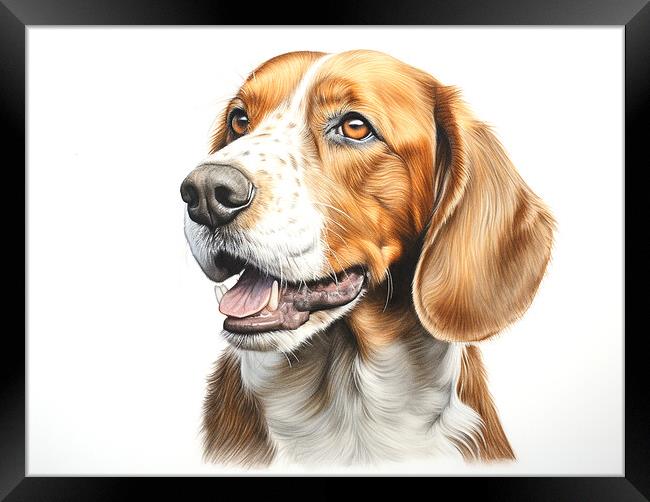 English Foxhound Pencil Drawing Framed Print by K9 Art