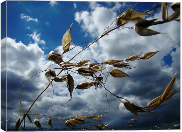 blowin' in the wind Canvas Print by Jo Beerens