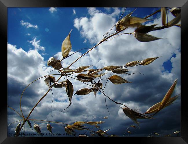 blowin' in the wind Framed Print by Jo Beerens