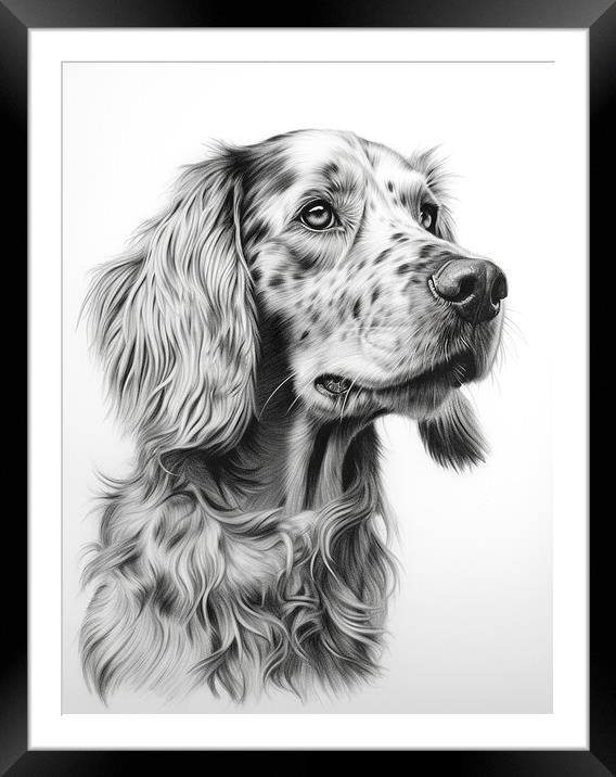 English Setter Pencil Drawing Framed Mounted Print by K9 Art