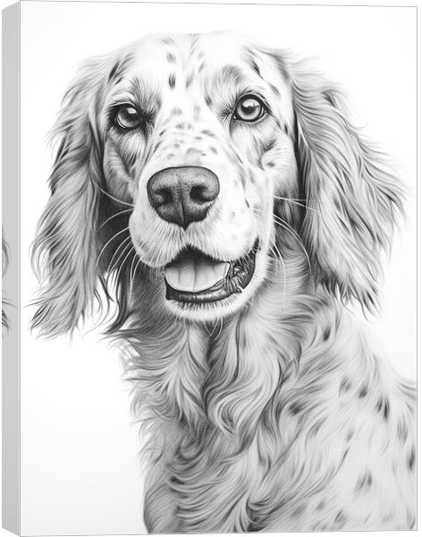 English Setter Pencil Drawing Canvas Print by K9 Art