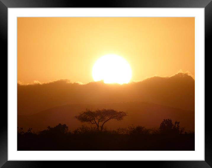Masai Mara Sunrise kenya Framed Mounted Print by grant norton