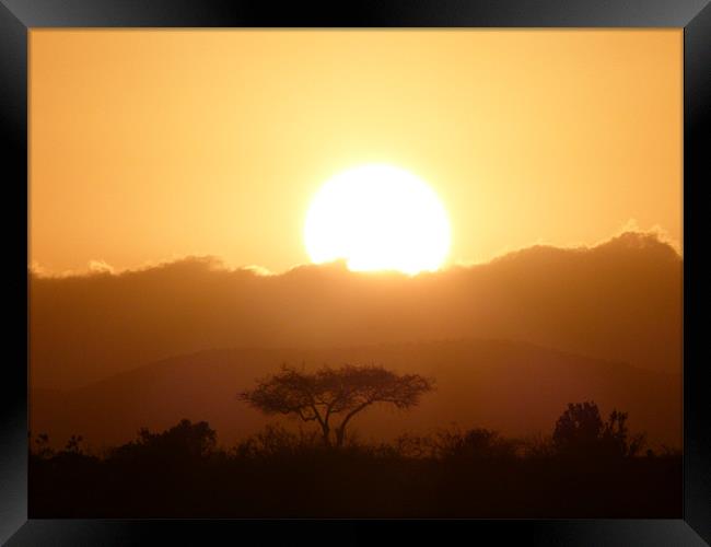 Masai Mara Sunrise kenya Framed Print by grant norton