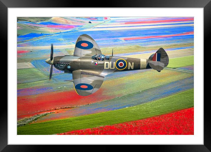Spitfire Red White and Blue Framed Mounted Print by Alison Chambers