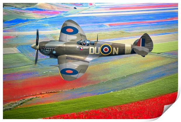 Spitfire Red White and Blue Print by Alison Chambers