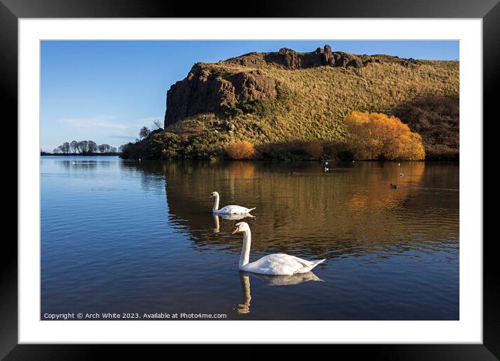 Dunsapie Loch and crags with Mute Swans, Holyrood  Framed Mounted Print by Arch White