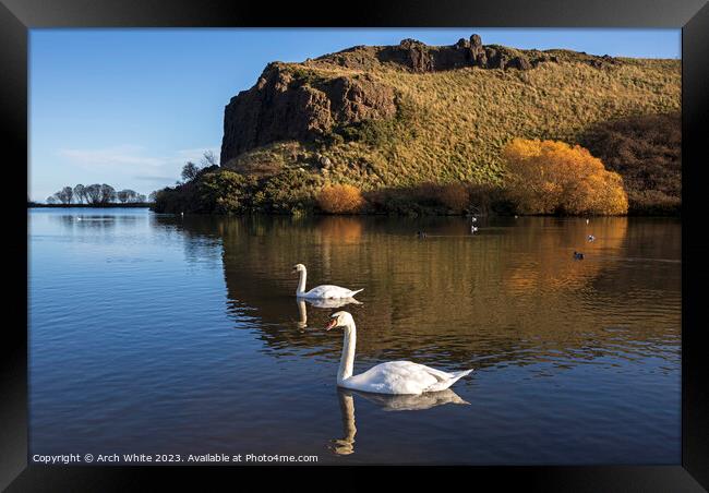 Dunsapie Loch and crags with Mute Swans, Holyrood  Framed Print by Arch White