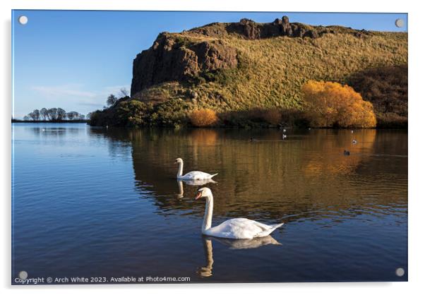 Dunsapie Loch and crags with Mute Swans, Holyrood  Acrylic by Arch White