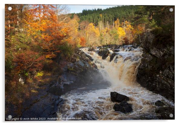 Rogie Falls, Black Water, Strathpeffer, Ross-shire Acrylic by Arch White